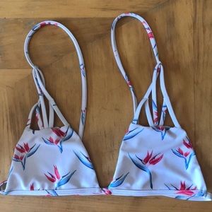 Acacia birds of paradise top